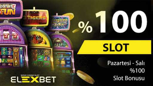 Elexbet Giriş